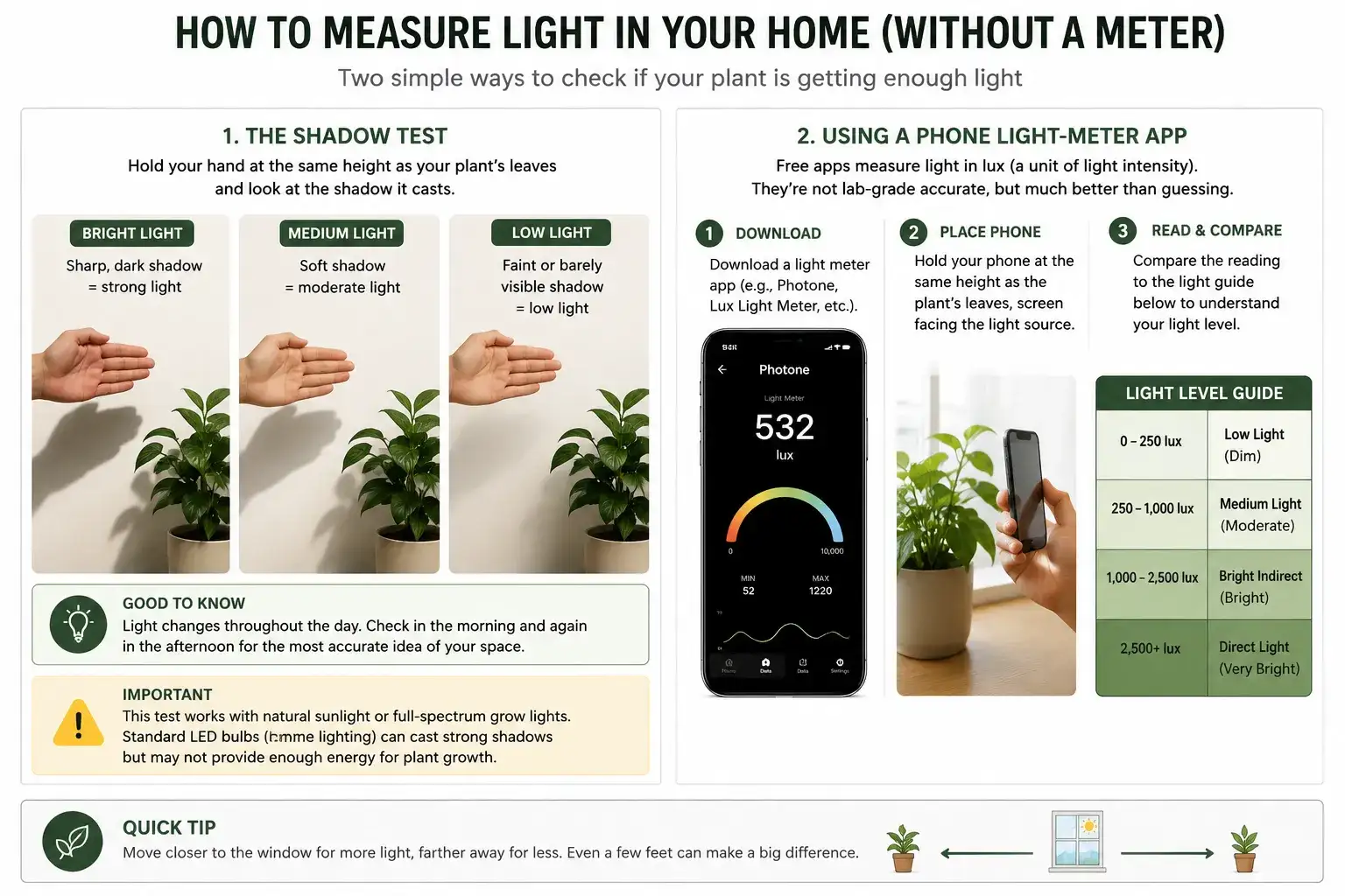 How Much Light Do Indoor Plants Need