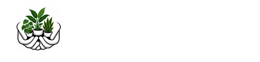 Indoor Plant Care