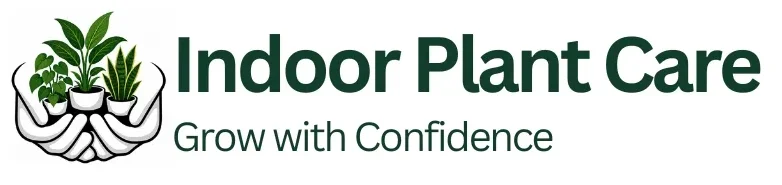 Indoor Plant Care