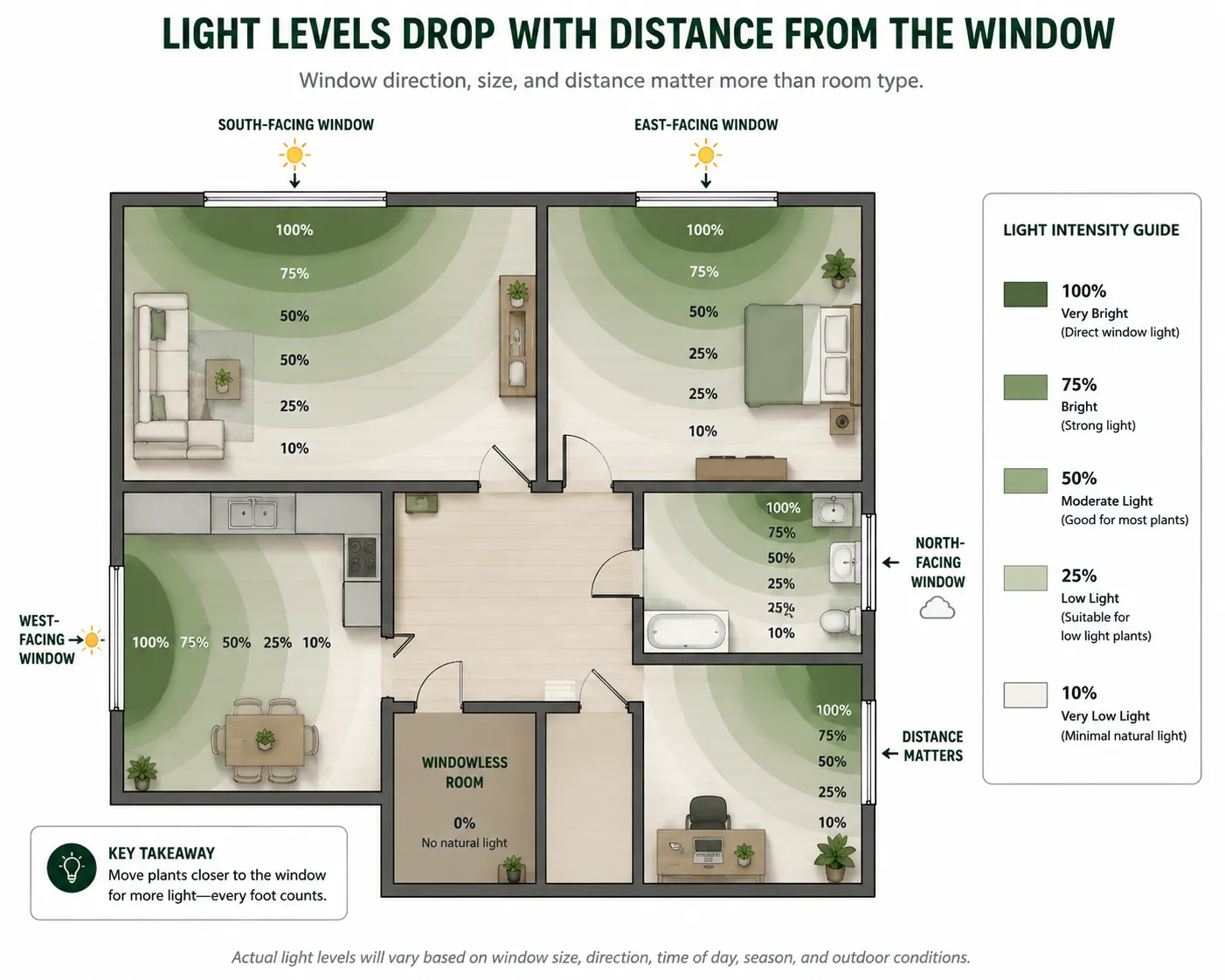 How Much Light Do Indoor Plants Need