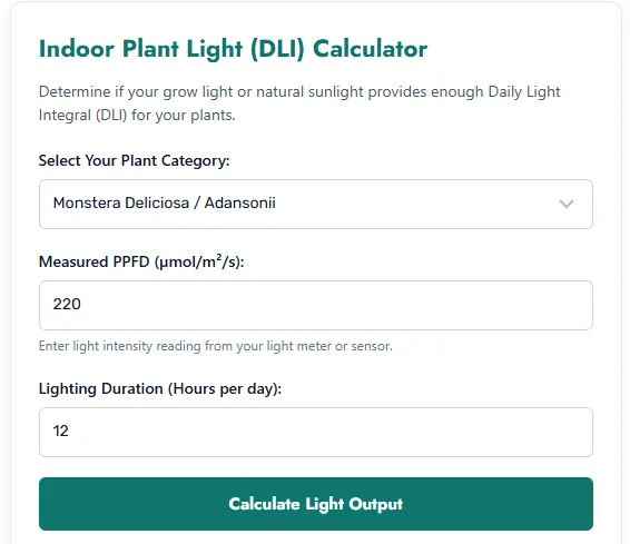 DLI Calculator
